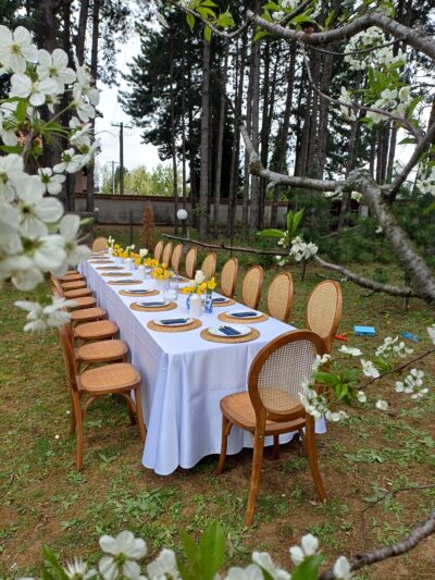 Toscana stolica od prirodnog drveta sa pletenim naslonom od španske trske, idealna za venčanja, luksuzne proslave i elegantne događaje — iznajmljivanje stolica